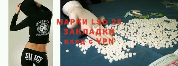 гидра Абаза