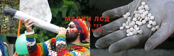 гидра Абаза