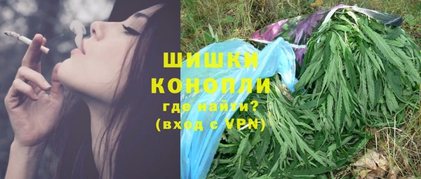 гидра Абаза