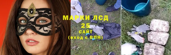гидра Абаза