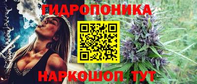 трава Заволжье