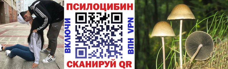 закладки  Отрадное  Псилоцибиновые грибы Psilocybine cubensis 