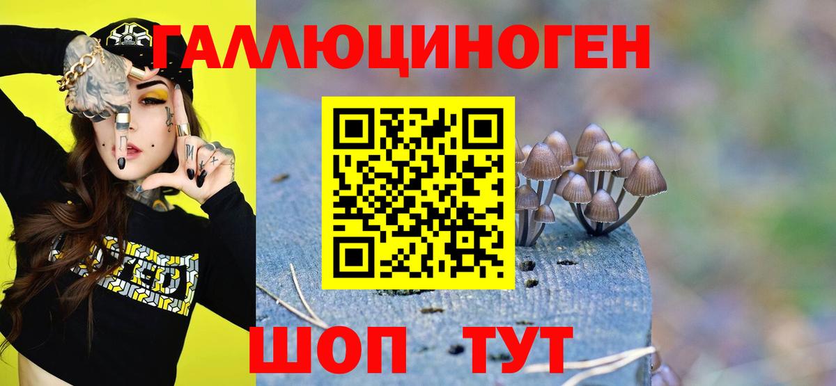 Отрадное  сколько стоит  Вход с VPN  Псилоцибиновые грибы GOLDEN TEACHER  Галлюциногенные грибы Magic Shrooms 